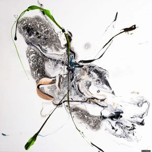 Collections image